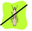 Bradford Pest Control Bradford Pest Control